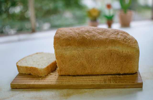 pão sem leite para APLV